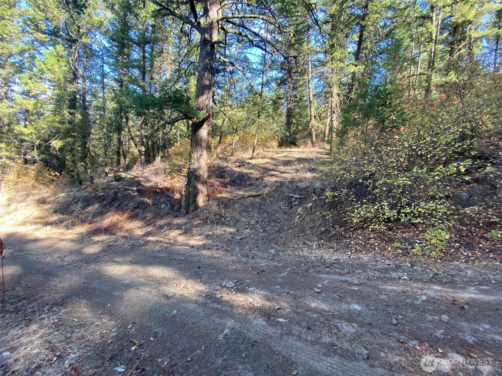 8888 Deer Creek Drive Waterville WA 98858