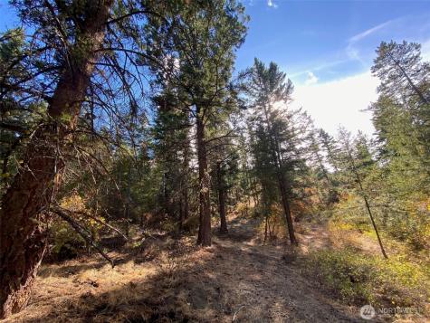 8888 Deer Creek Drive Waterville WA 98858