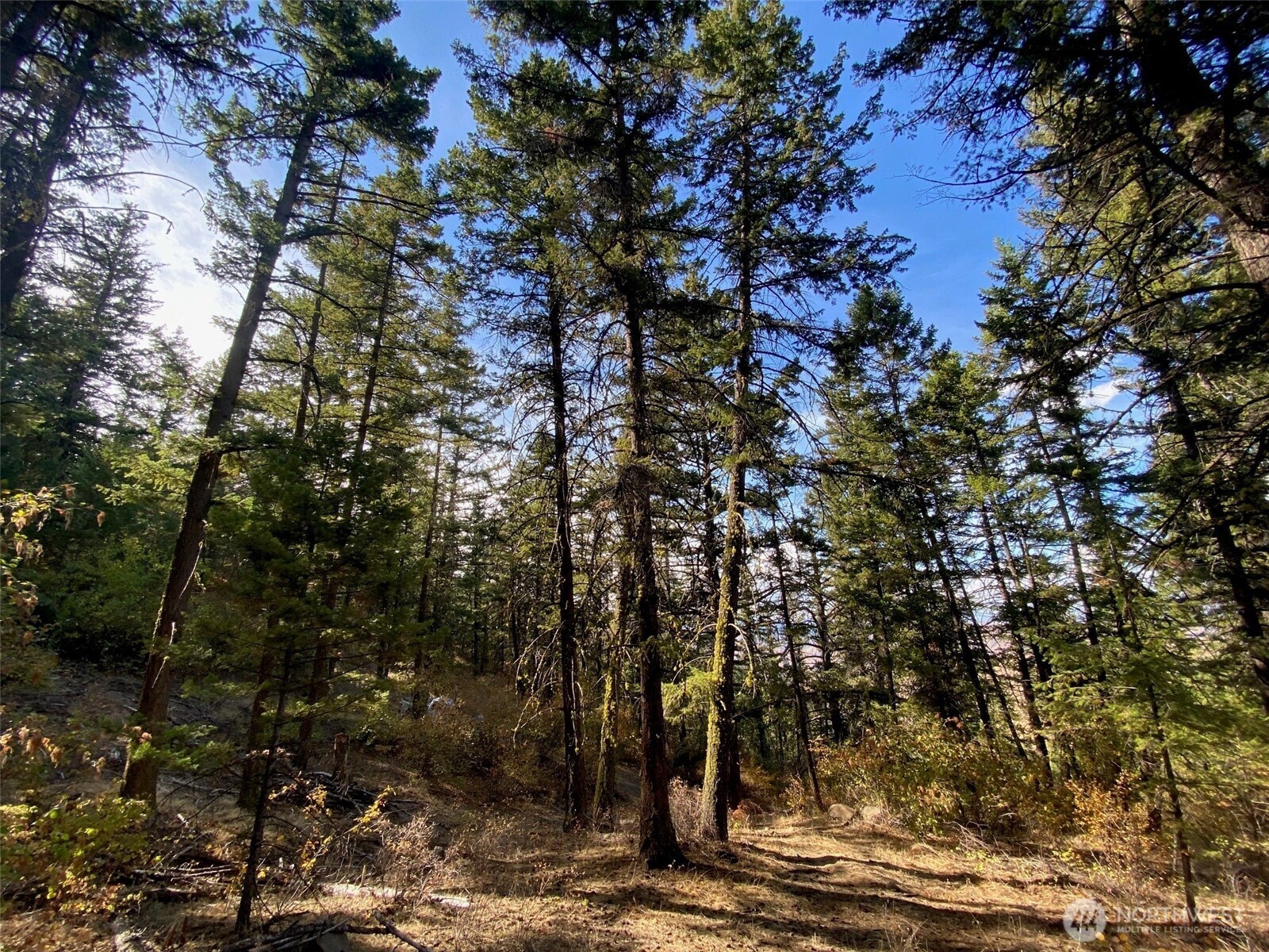 8888 Deer Creek Drive Waterville WA 98858