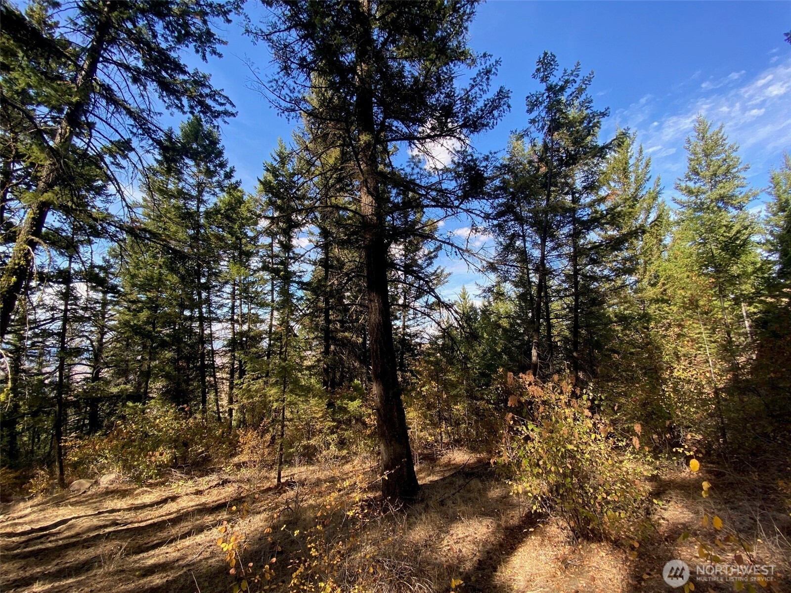 8888 Deer Creek Drive Waterville WA 98858