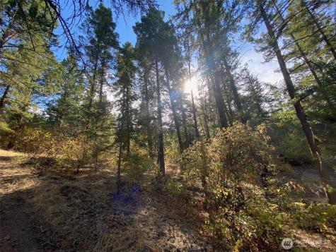 8888 Deer Creek Drive Waterville WA 98858