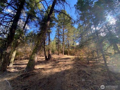 8888 Deer Creek Drive Waterville WA 98858