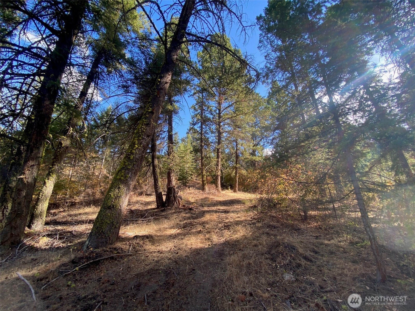 8888 Deer Creek Drive Waterville WA 98858