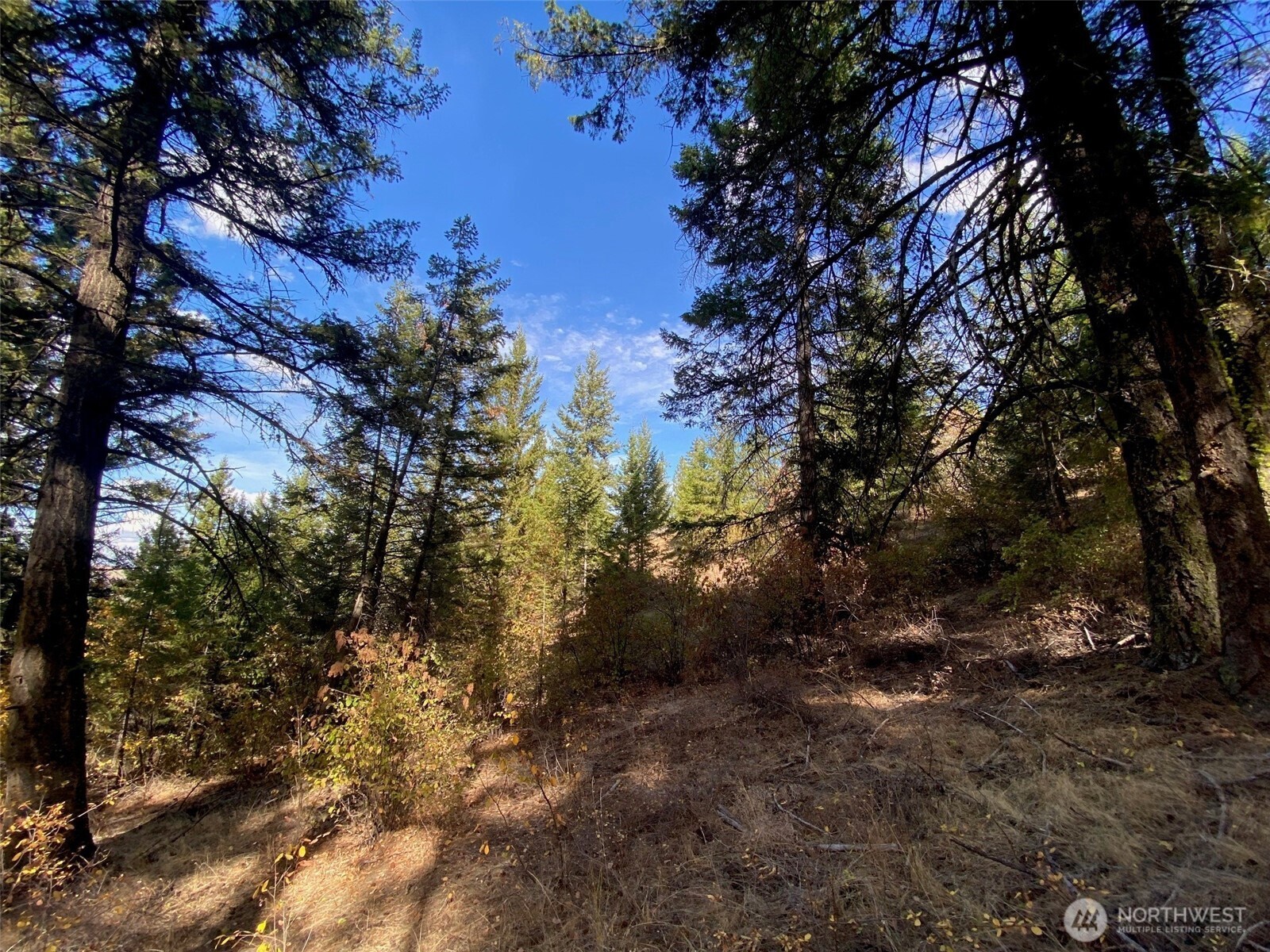 8888 Deer Creek Drive Waterville WA 98858