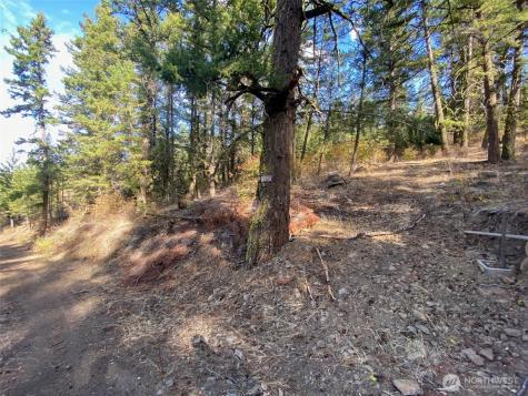 8888 Deer Creek Drive Waterville WA 98858