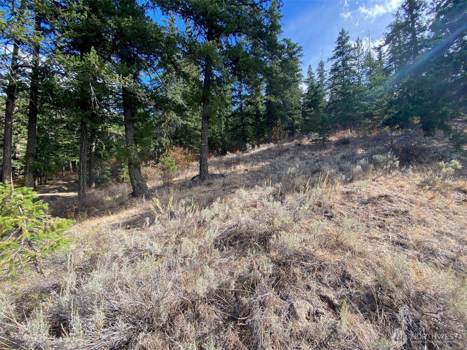 8888 Deer Creek Drive Waterville WA 98858
