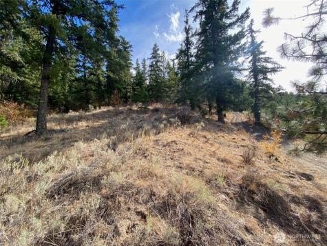 8888 Deer Creek Drive Waterville WA 98858