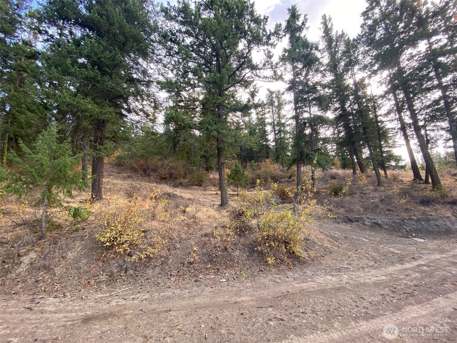 8888 Deer Creek Drive Waterville WA 98858
