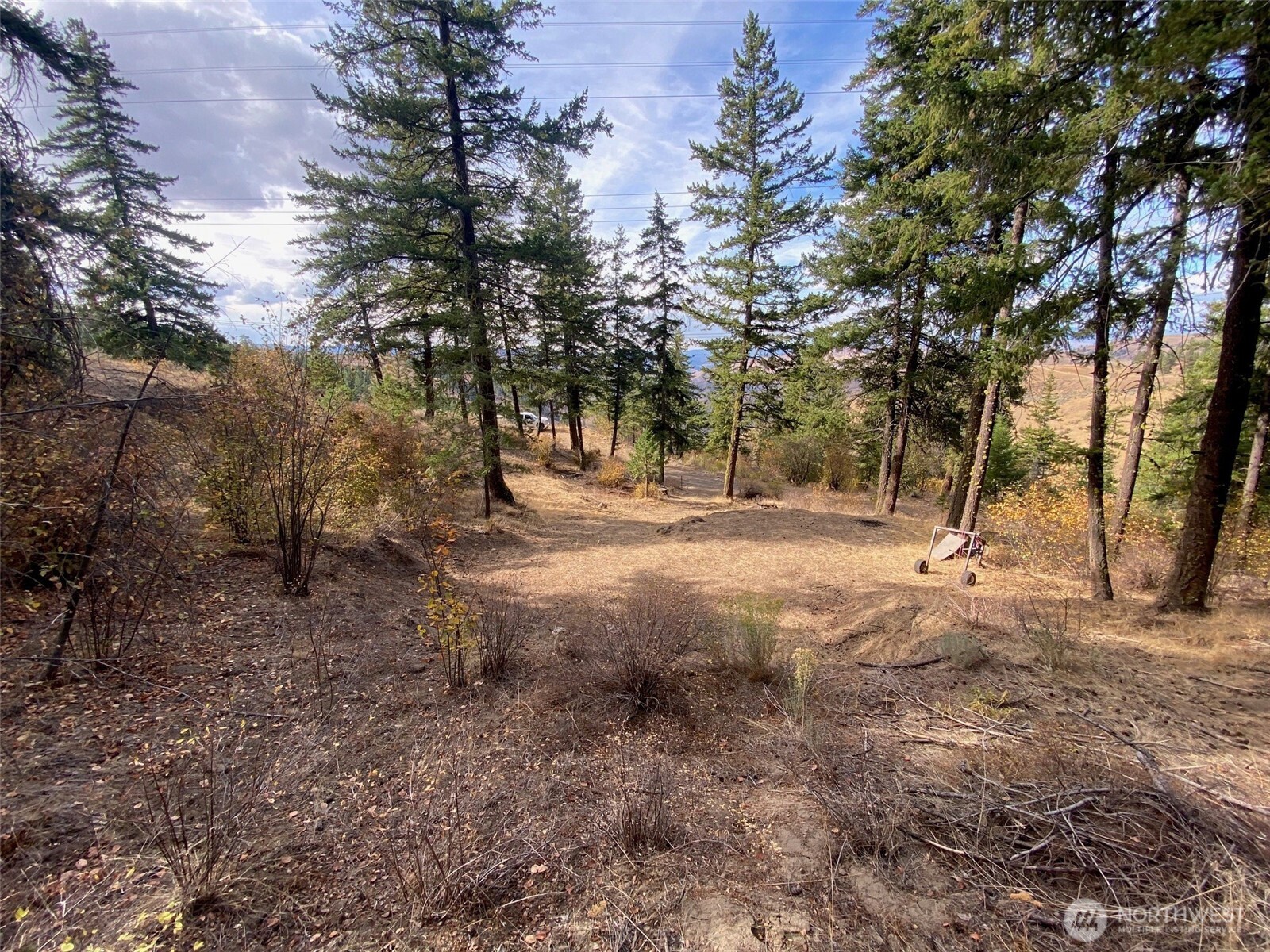 8888 Deer Creek Drive Waterville WA 98858