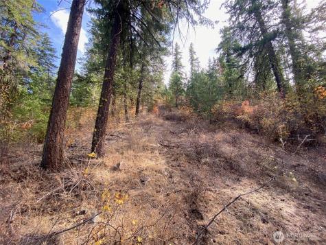 8888 Deer Creek Drive Waterville WA 98858
