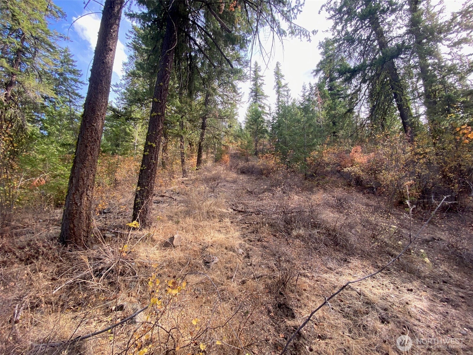 8888 Deer Creek Drive Waterville WA 98858