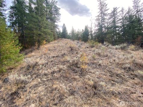 8888 Deer Creek Drive Waterville WA 98858