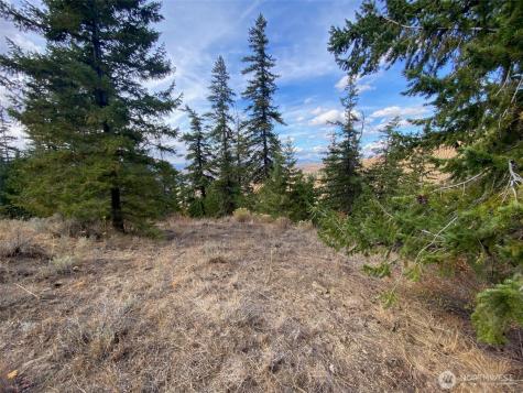 8888 Deer Creek Drive Waterville WA 98858