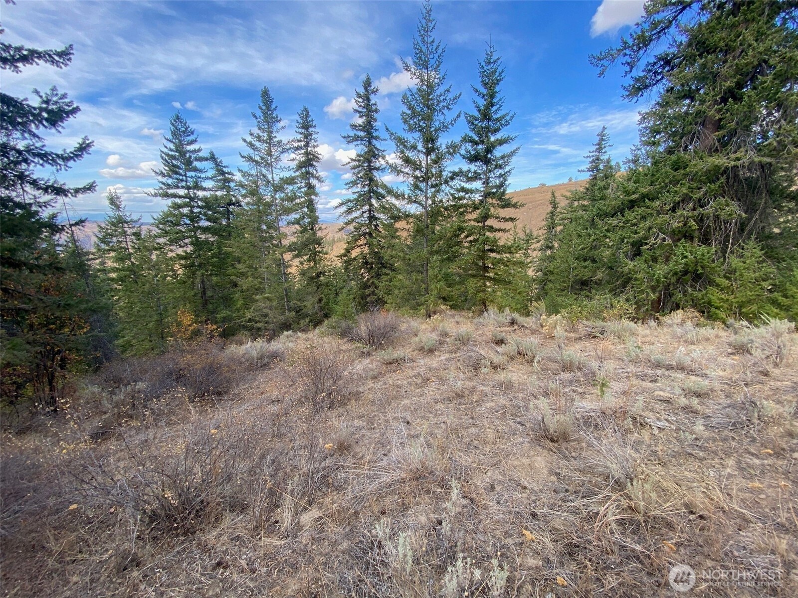 8888 Deer Creek Drive Waterville WA 98858