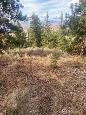 8888 Deer Creek Drive Waterville WA 98858