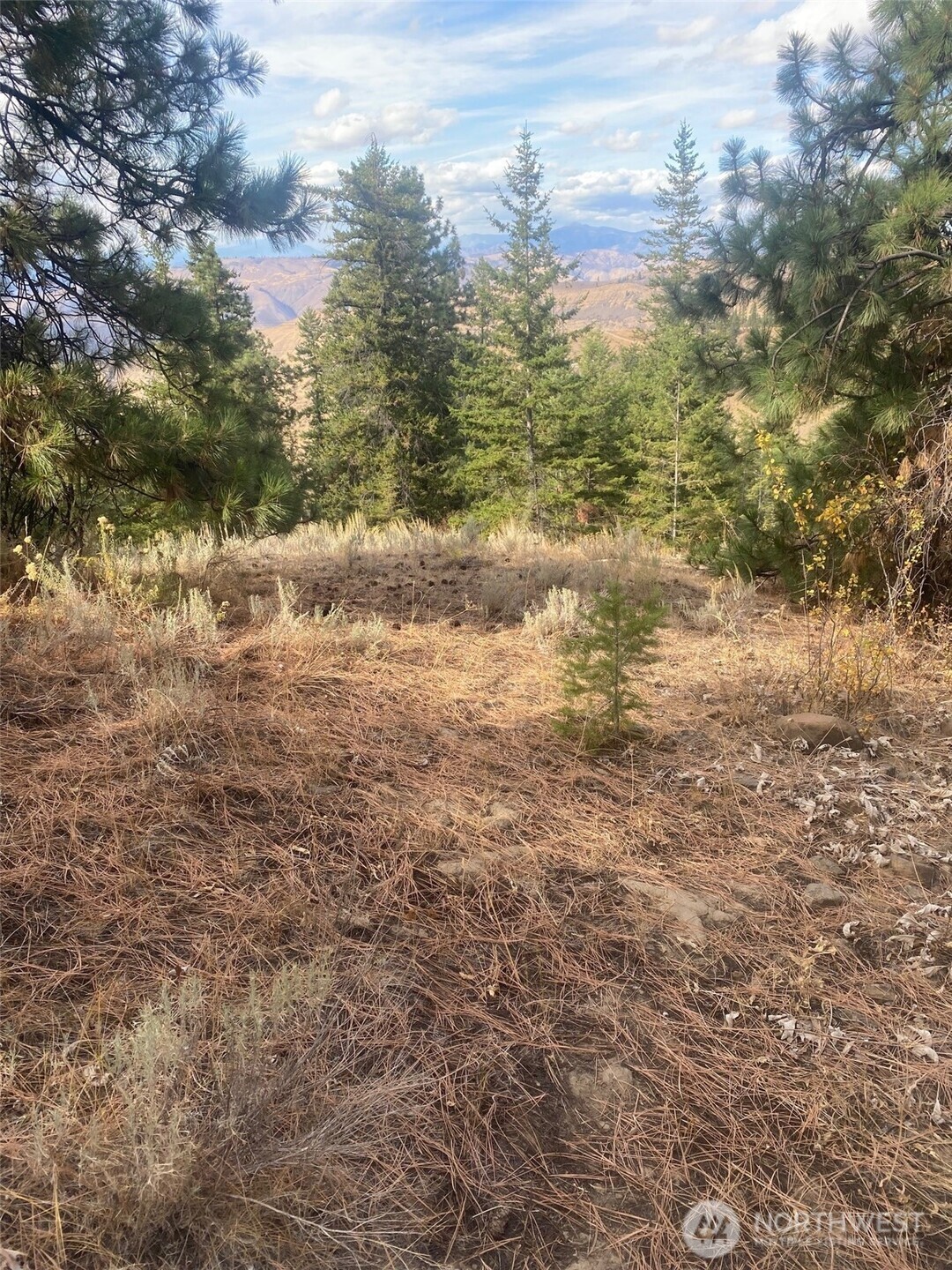 8888 Deer Creek Drive Waterville WA 98858