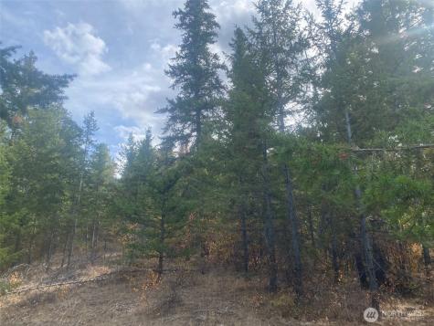 8888 Deer Creek Drive Waterville WA 98858