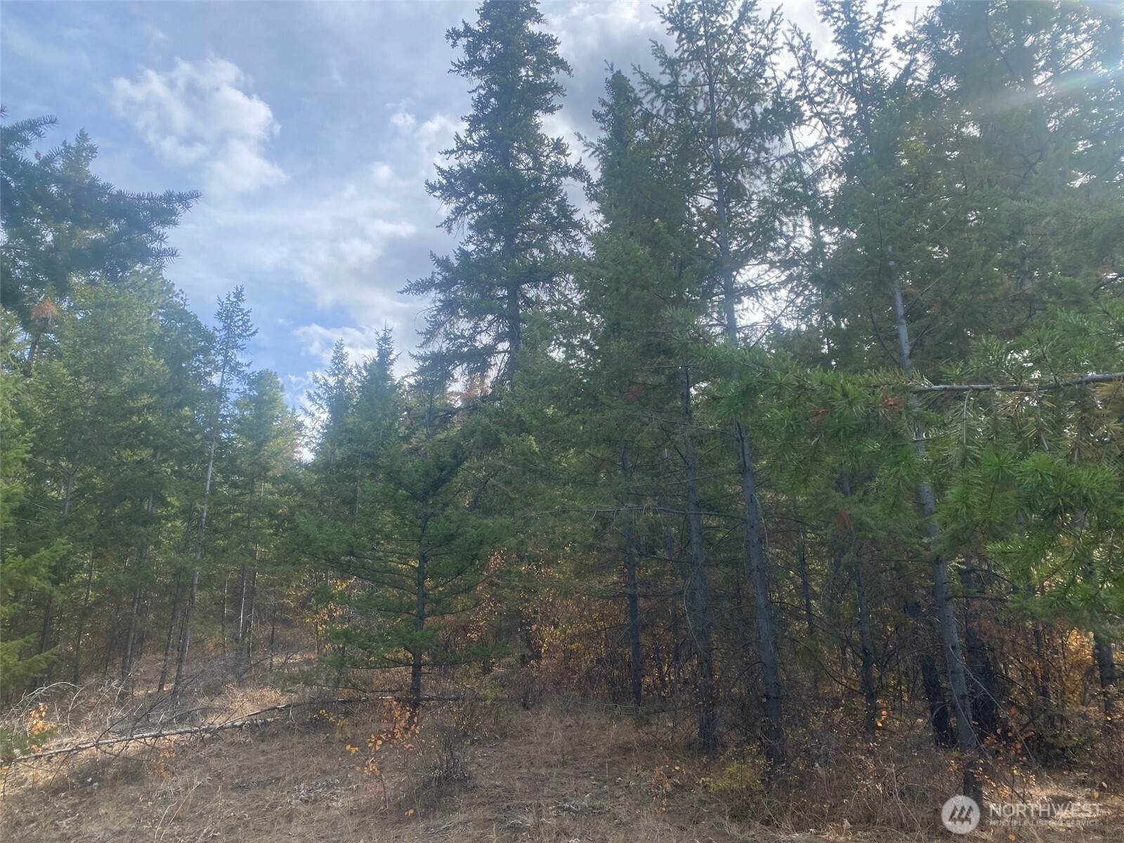 8888 Deer Creek Drive Waterville WA 98858