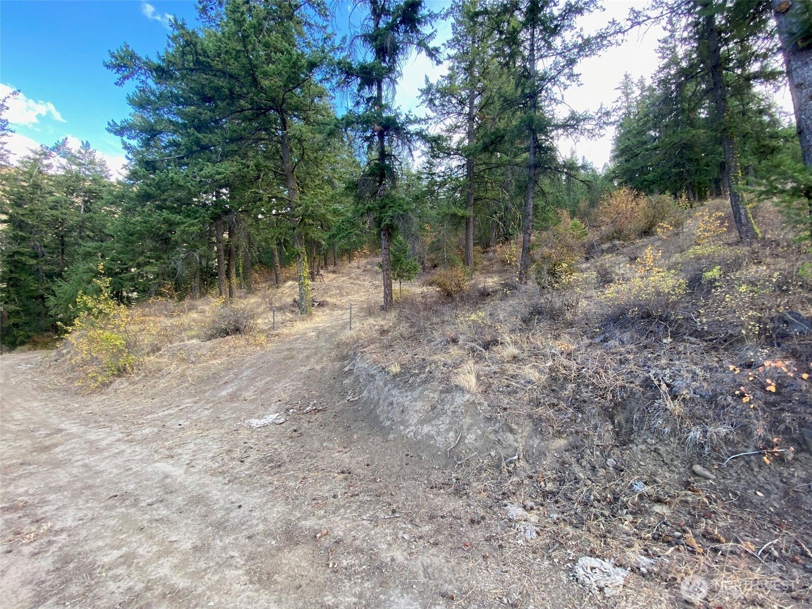 8888 Deer Creek Drive Waterville WA 98858