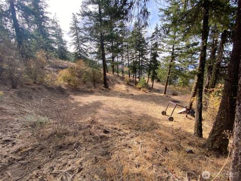 8888 Deer Creek Drive Waterville WA 98858