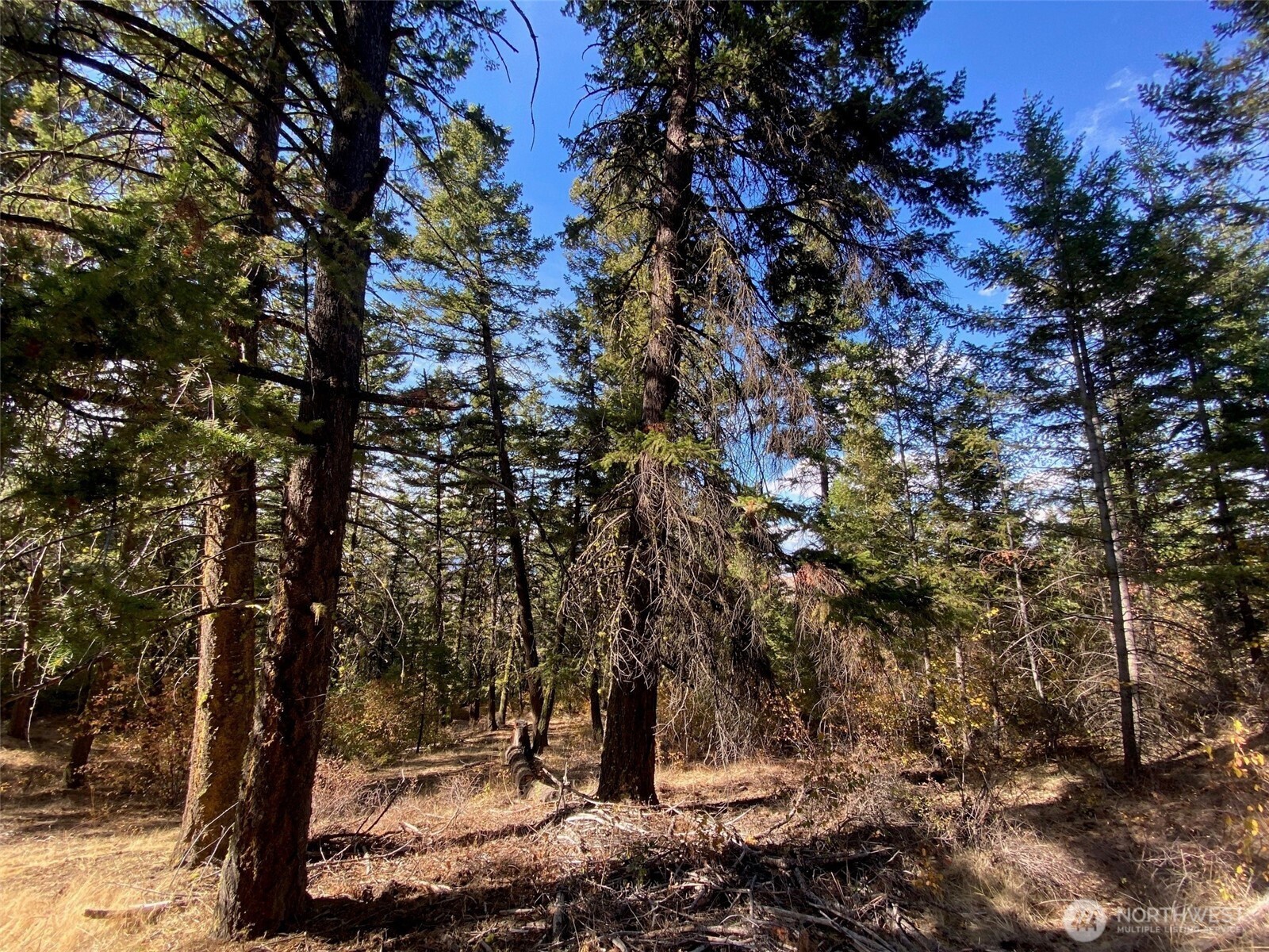 8888 Deer Creek Drive Waterville WA 98858