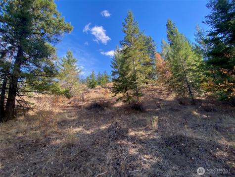 8888 Deer Creek Drive Waterville WA 98858