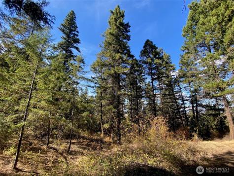 8888 Deer Creek Drive Waterville WA 98858