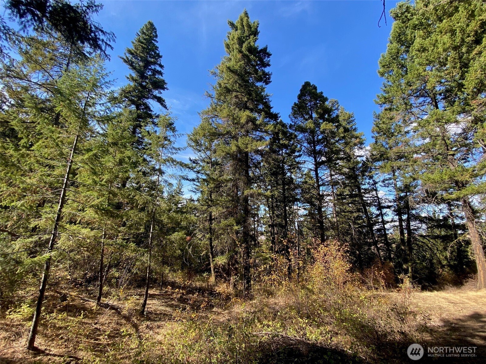 8888 Deer Creek Drive Waterville WA 98858
