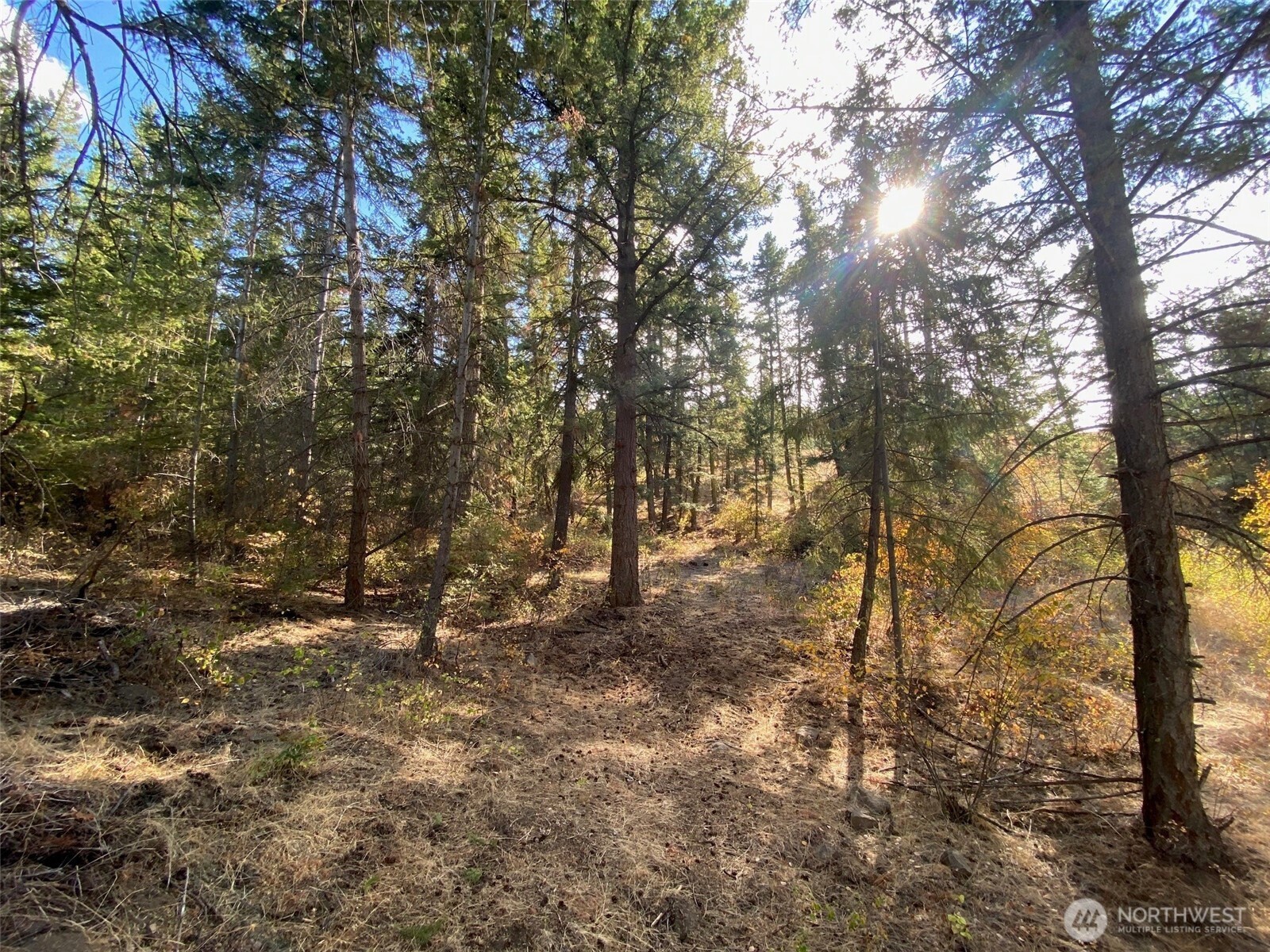 8888 Deer Creek Drive Waterville WA 98858
