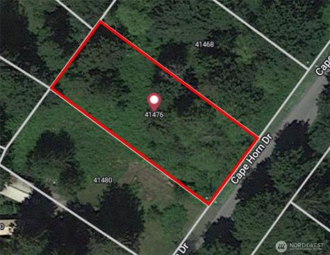 41476 Cape Horn Drive Concrete WA 98237