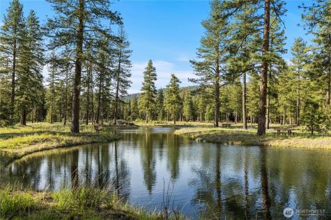 52 Wanawish Loop Cle Elum WA 98922