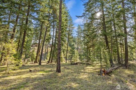 52 Wanawish Loop Cle Elum WA 98922