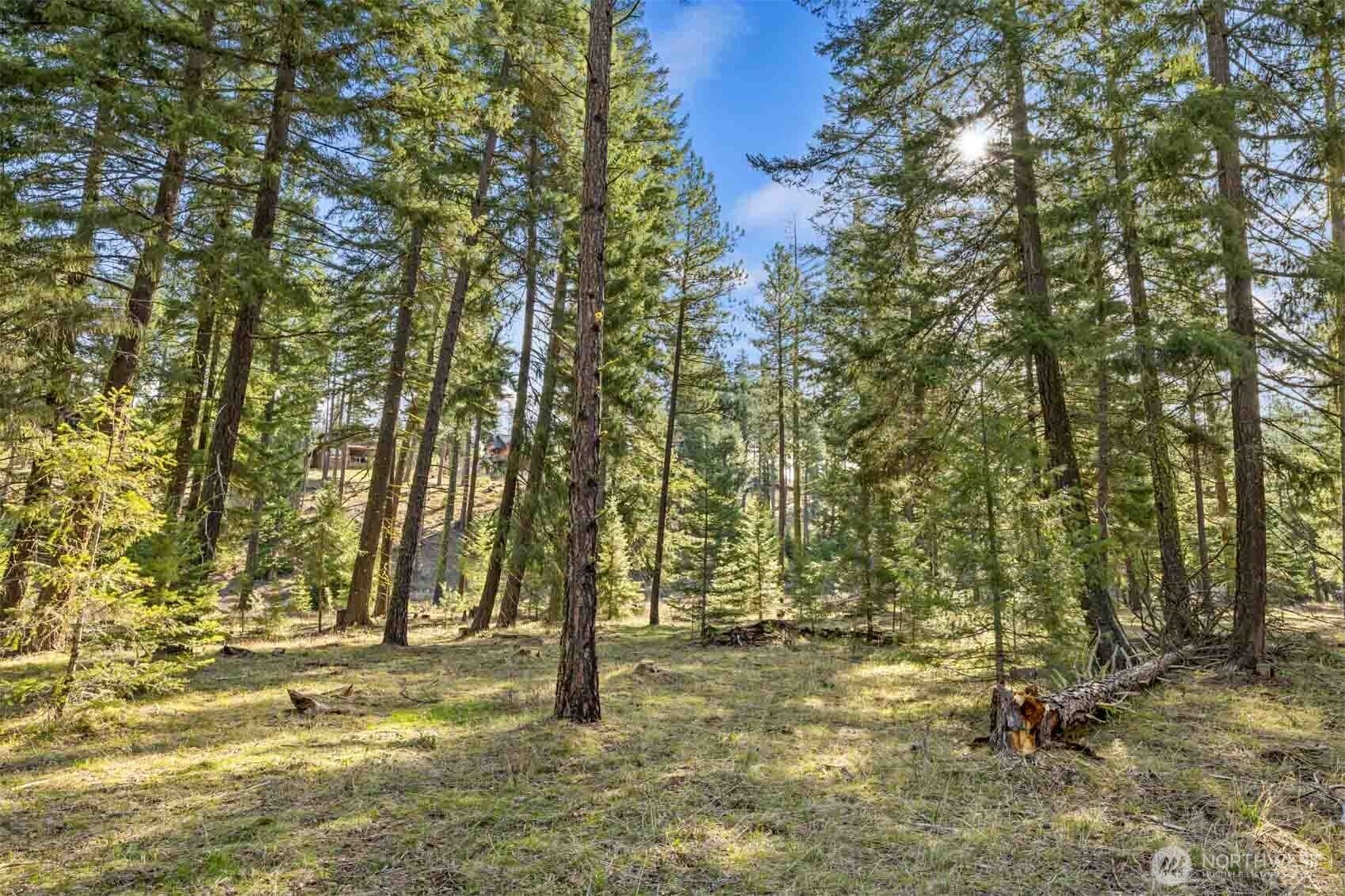 52 Wanawish Loop Cle Elum WA 98922