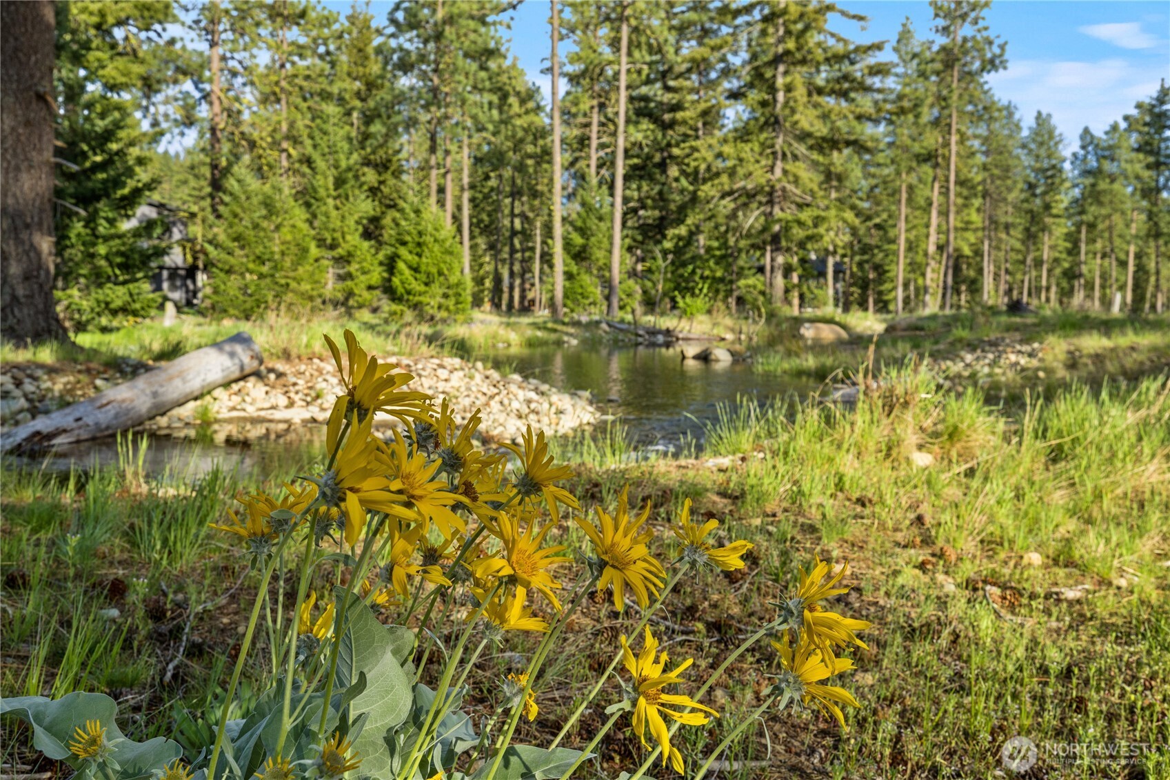 52 Wanawish Loop Cle Elum WA 98922