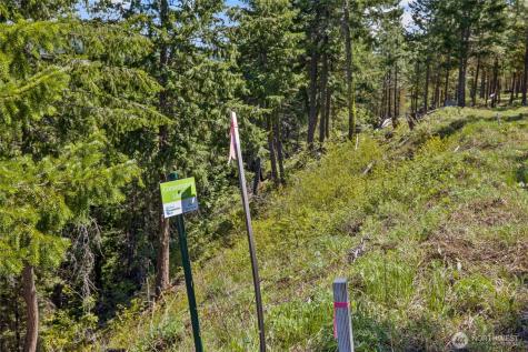 45 Gold Leaf Lane Cle Elum WA 98922