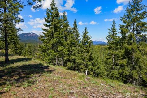 45 Gold Leaf Lane Cle Elum WA 98922