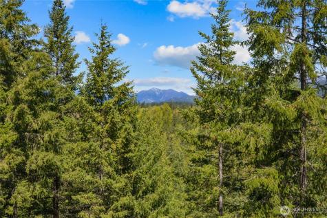 45 Gold Leaf Lane Cle Elum WA 98922
