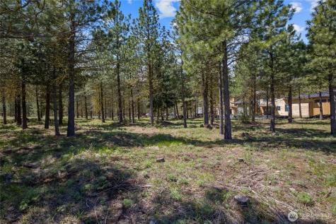 45 Gold Leaf Lane Cle Elum WA 98922