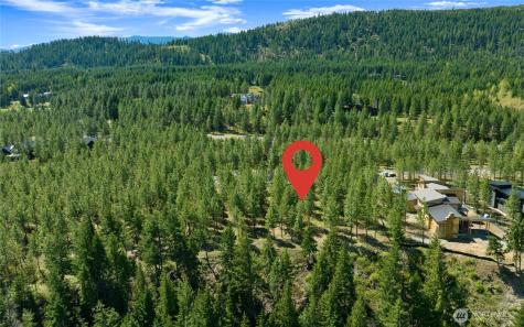 45 Gold Leaf Lane Cle Elum WA 98922