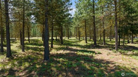 45 Gold Leaf Lane Cle Elum WA 98922