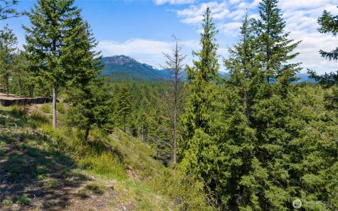 45 Gold Leaf Lane Cle Elum WA 98922