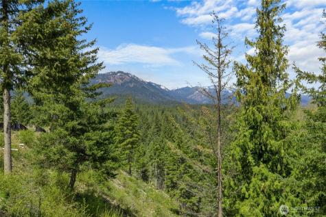 45 Gold Leaf Lane Cle Elum WA 98922