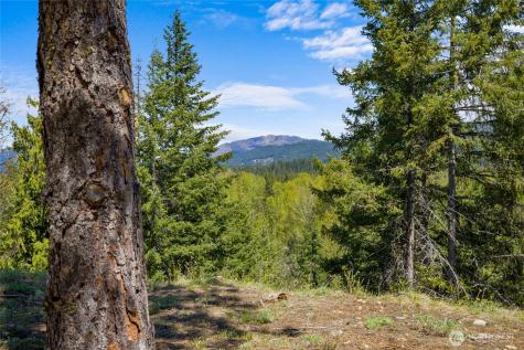 45 Gold Leaf Lane Cle Elum WA 98922