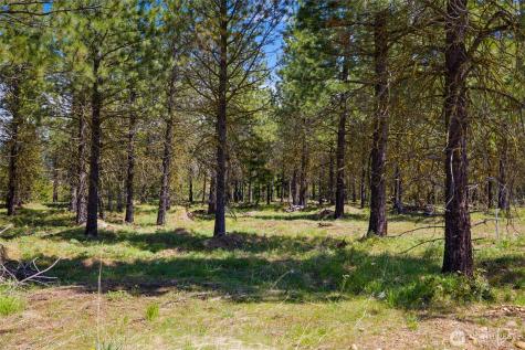 45 Gold Leaf Lane Cle Elum WA 98922