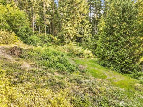 0 NW Vasquez Way Silverdale WA 98383