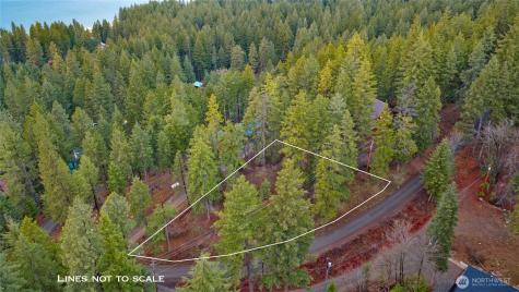 0 Pine Loch Sun Drive Ronald WA 98940