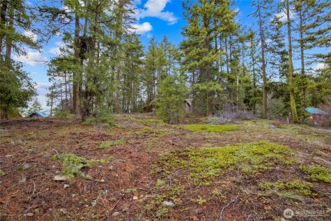 0 Pine Loch Sun Drive Ronald WA 98940
