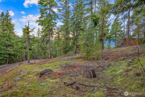 0 Pine Loch Sun Drive Ronald WA 98940