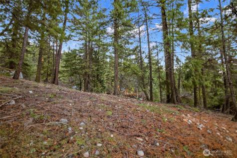 0 Pine Loch Sun Drive Ronald WA 98940