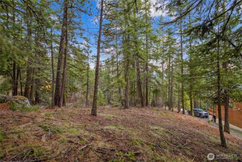 0 Pine Loch Sun Drive Ronald WA 98940
